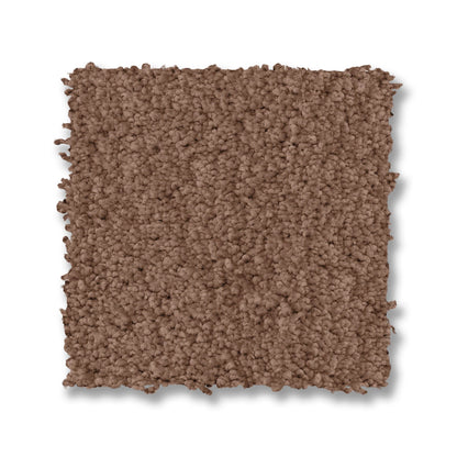 ZZ321-00741-swatch-shaw-floors