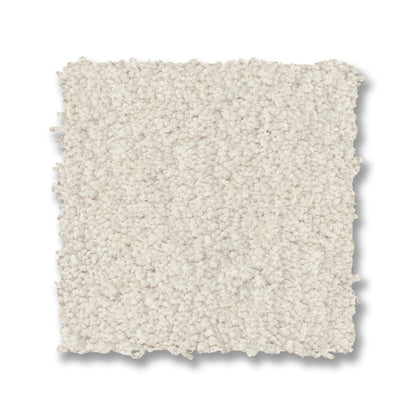 ZZ322-00121-swatch-shaw-floors