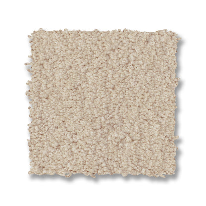 ZZ322-00141-swatch-shaw-floors