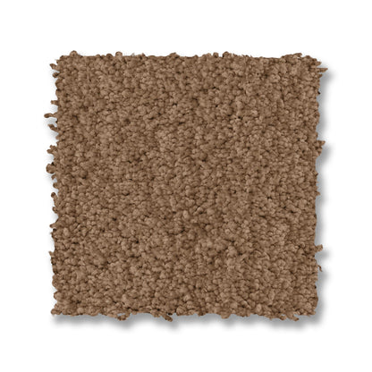ZZ322-00240-swatch-shaw-floors