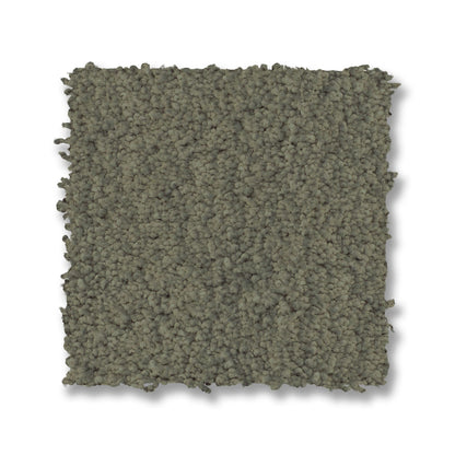 ZZ322-00342-swatch-shaw-floors