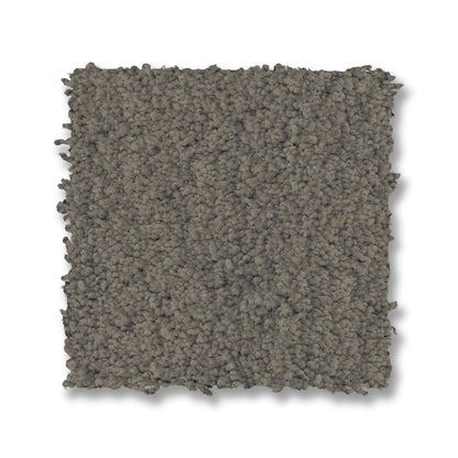 ZZ322-00343-swatch-shaw-floors