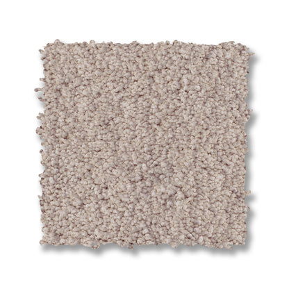 ZZ322-00511-swatch-shaw-floors