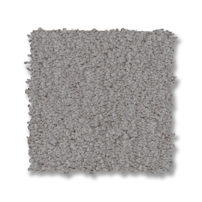 ZZ322-00541-swatch-shaw-floors