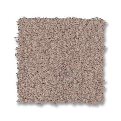 ZZ322-00720-swatch-shaw-floors