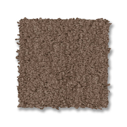 ZZ322-00722-swatch-shaw-floors