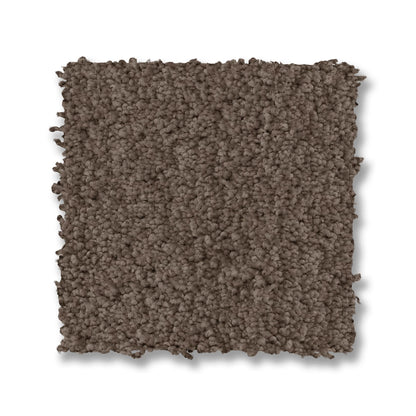 ZZ322-00724-swatch-shaw-floors