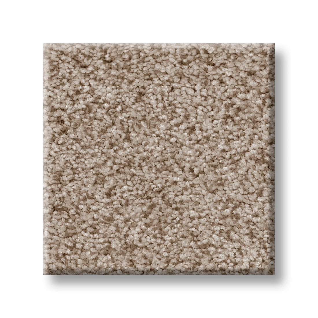 ZZ323-00241-swatch-shaw-floors