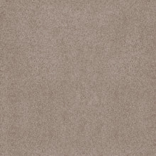 ZZ323-00750-swatch-shaw-floors