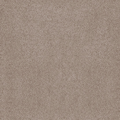 ZZ323-00750-swatch-shaw-floors