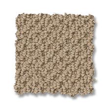 ZZ325-00105-swatch-shaw-floors
