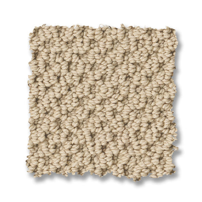 ZZ325-00141-swatch-shaw-floors