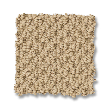 ZZ325-00142-swatch-shaw-floors