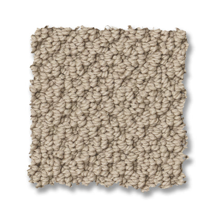 ZZ325-00151-swatch-shaw-floors
