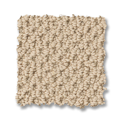 ZZ325-00200-swatch-shaw-floors