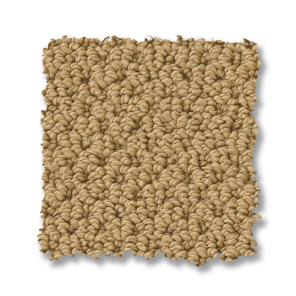 ZZ325-00240-swatch-shaw-floors