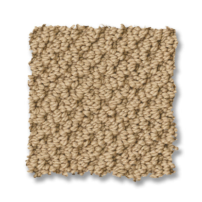 ZZ325-00241-swatch-shaw-floors
