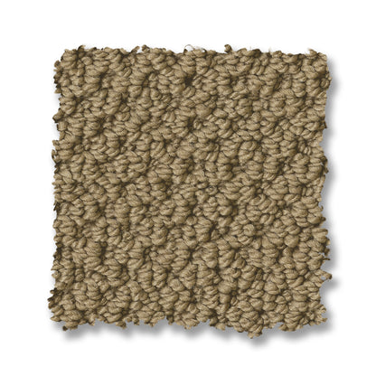 ZZ325-00702-swatch-shaw-floors