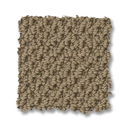 ZZ325-00740-swatch-shaw-floors