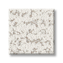 ZZ328-00101-swatch-shaw-floors