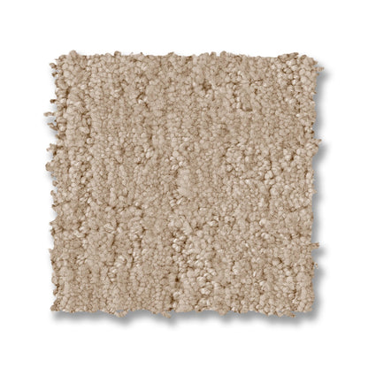 ZZ331-00130-swatch-shaw-floors