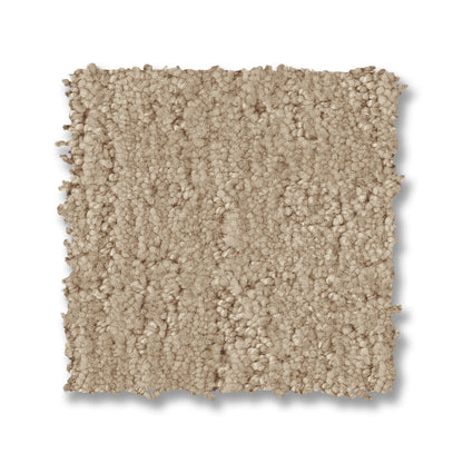ZZ331-00141-swatch-shaw-floors