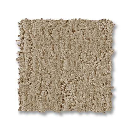 ZZ331-00220-swatch-shaw-floors