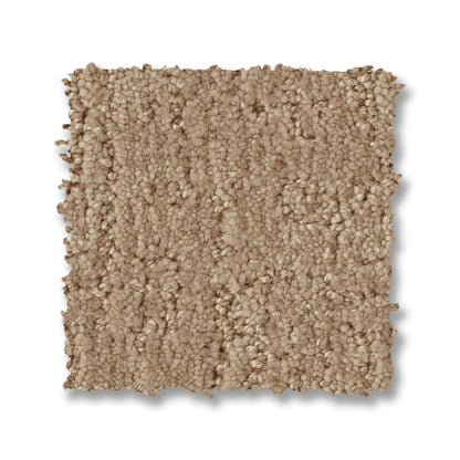ZZ331-00221-swatch-shaw-floors