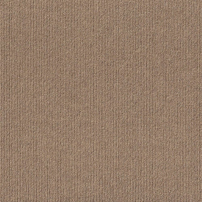 3k78-874-variant-room-scene