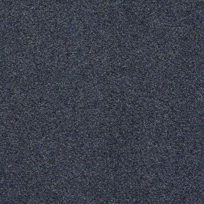3k81-555-variant-room-scene