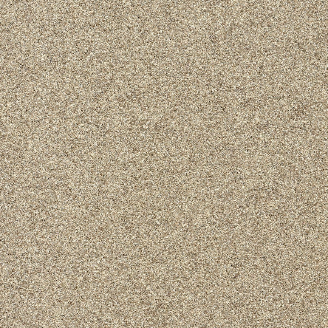 3k81-874-variant-room-scene