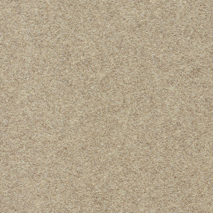 3k81-874-variant-room-scene