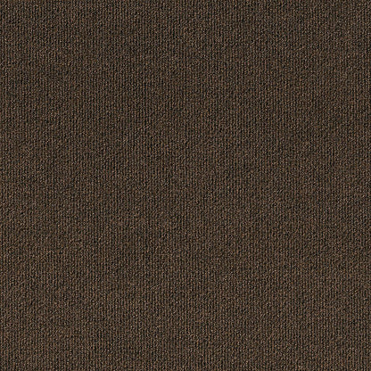 3k86-888-variant-room-scene