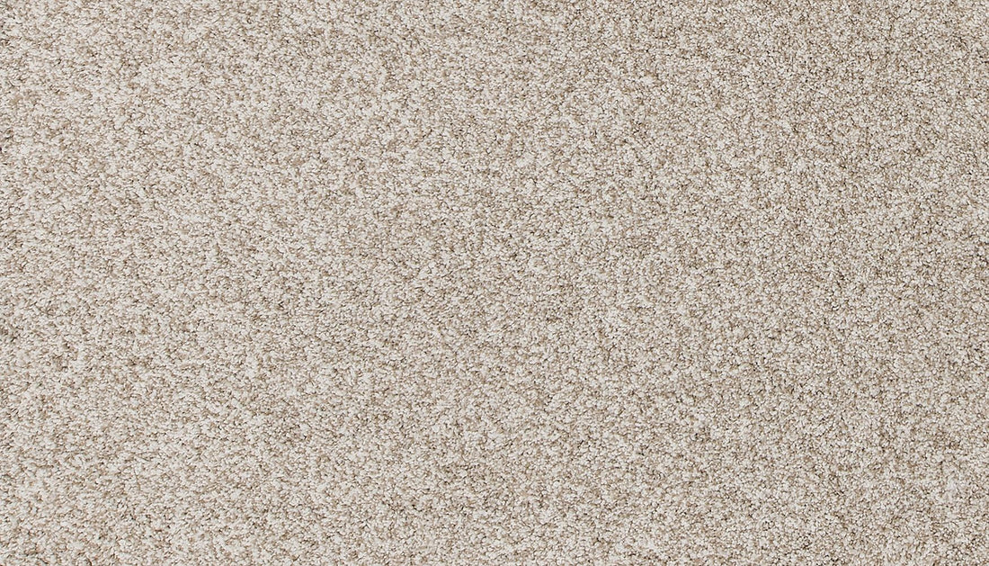3n78-707-variant-room-scene