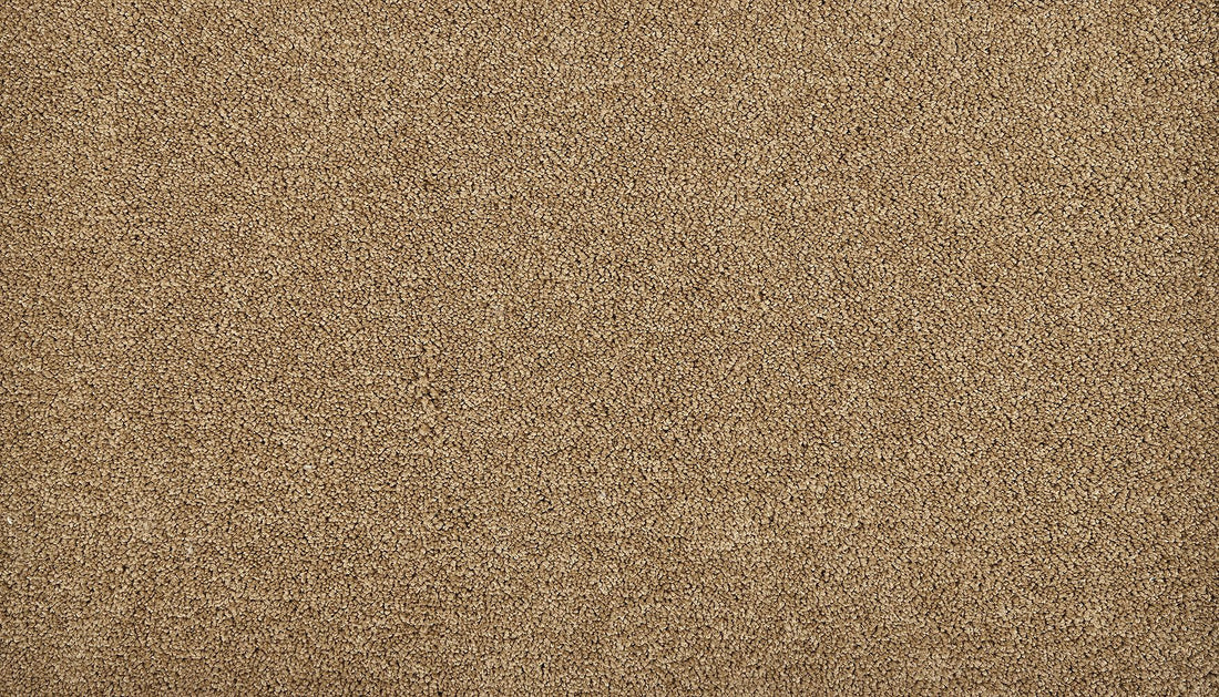 3n18-857-variant-room-scene