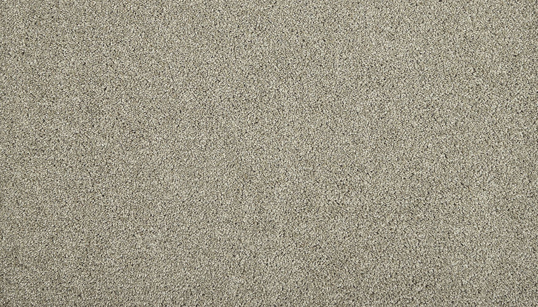 3n18-923-variant-room-scene