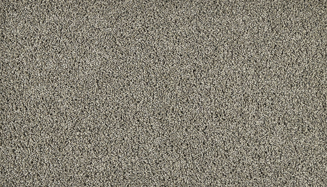 3n12-969-variant-room-scene