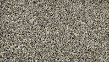 3n12-969-variant-room-scene