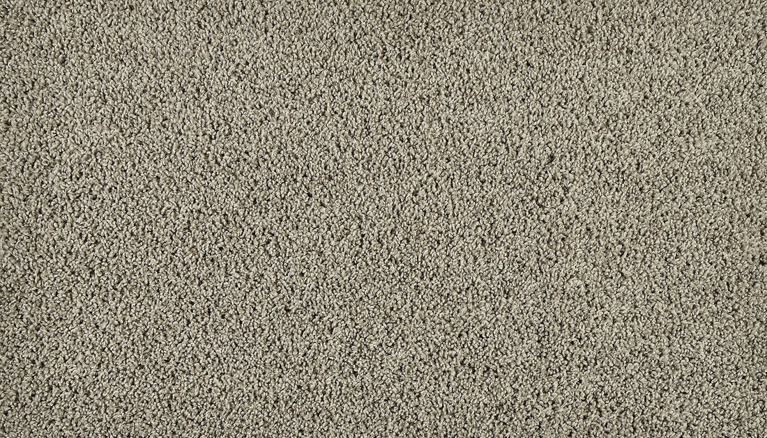 3n13-928-variant-room-scene