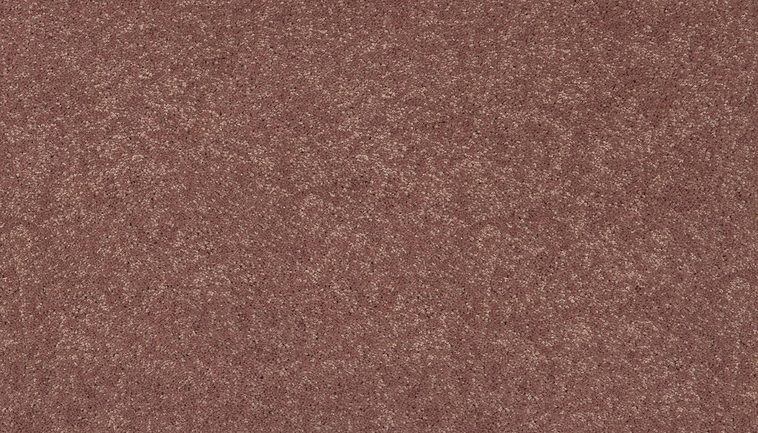 3f79-333-variant-room-scene