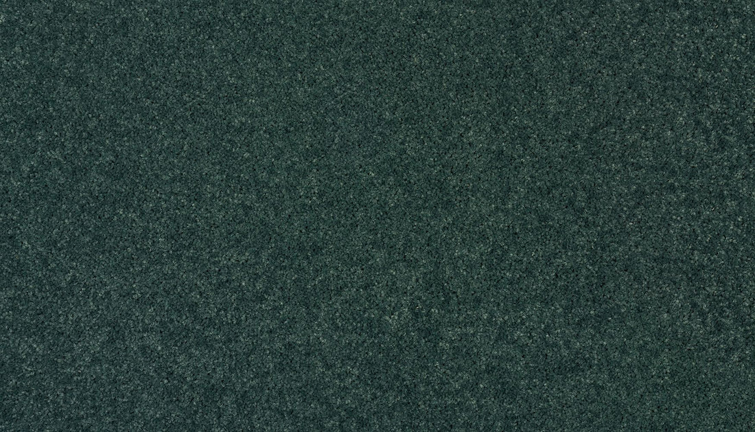 3f79-642-variant-room-scene