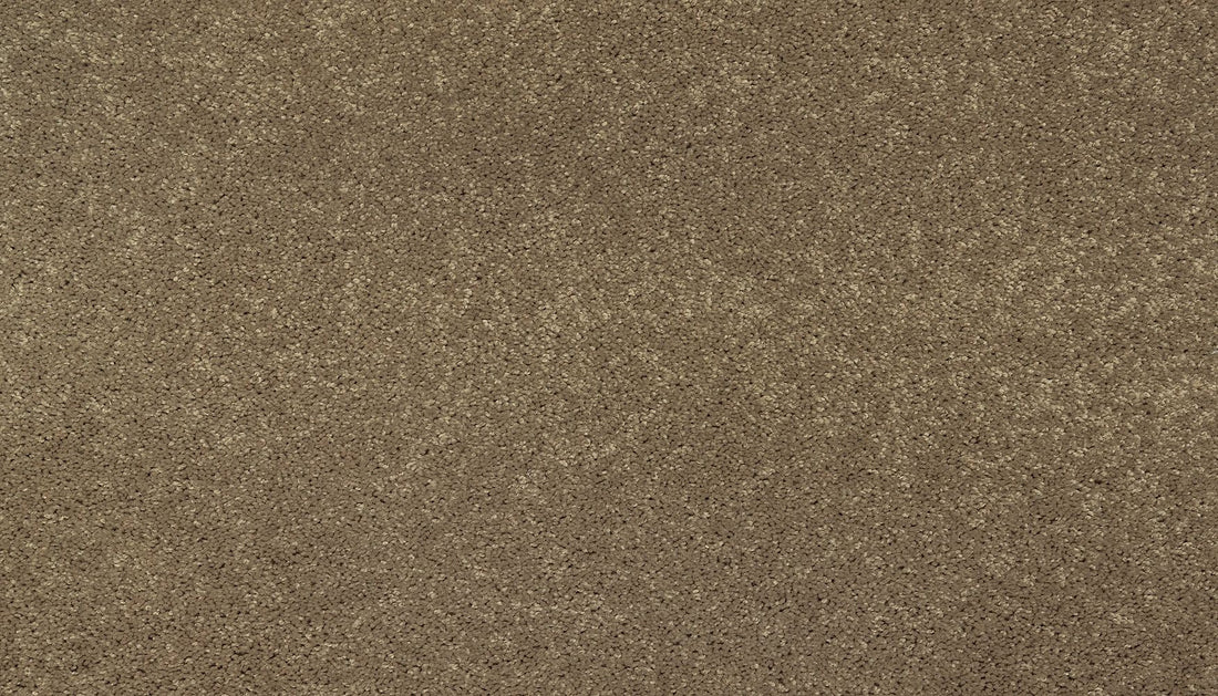 3f79-775-variant-room-scene