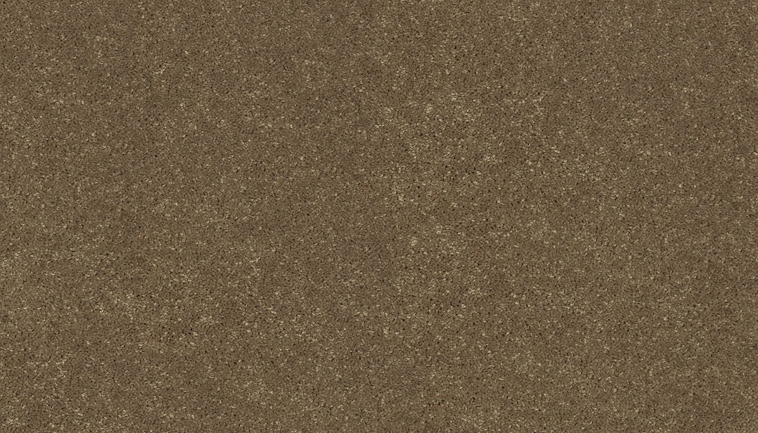 3f79-785-variant-room-scene