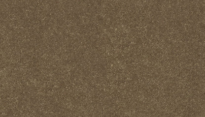 3f79-785-variant-room-scene