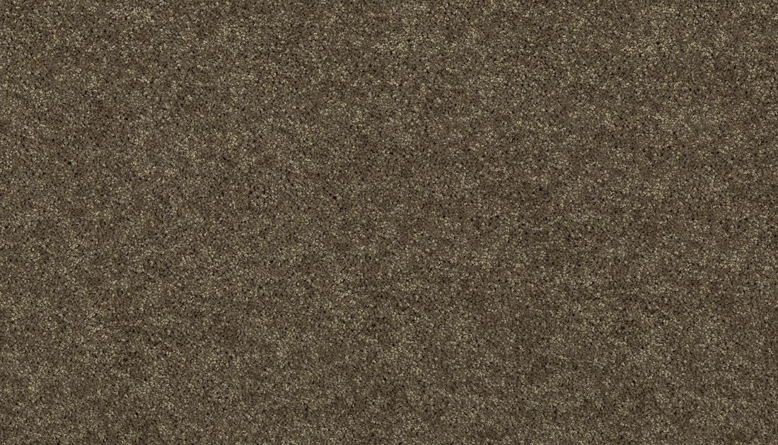 3f79-789-variant-room-scene