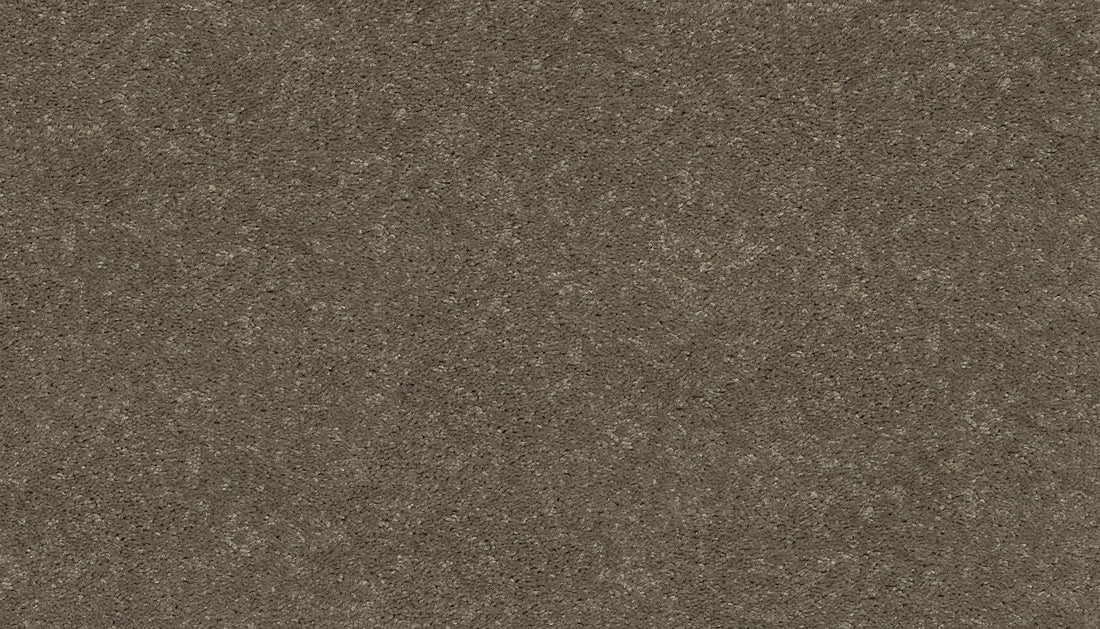 3f79-819-variant-room-scene