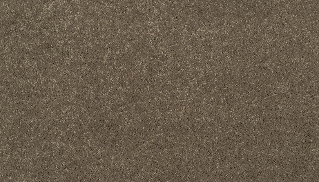 3f79-839-variant-room-scene