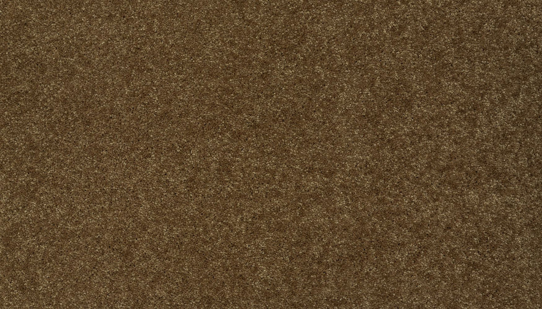 3f79-878-variant-room-scene