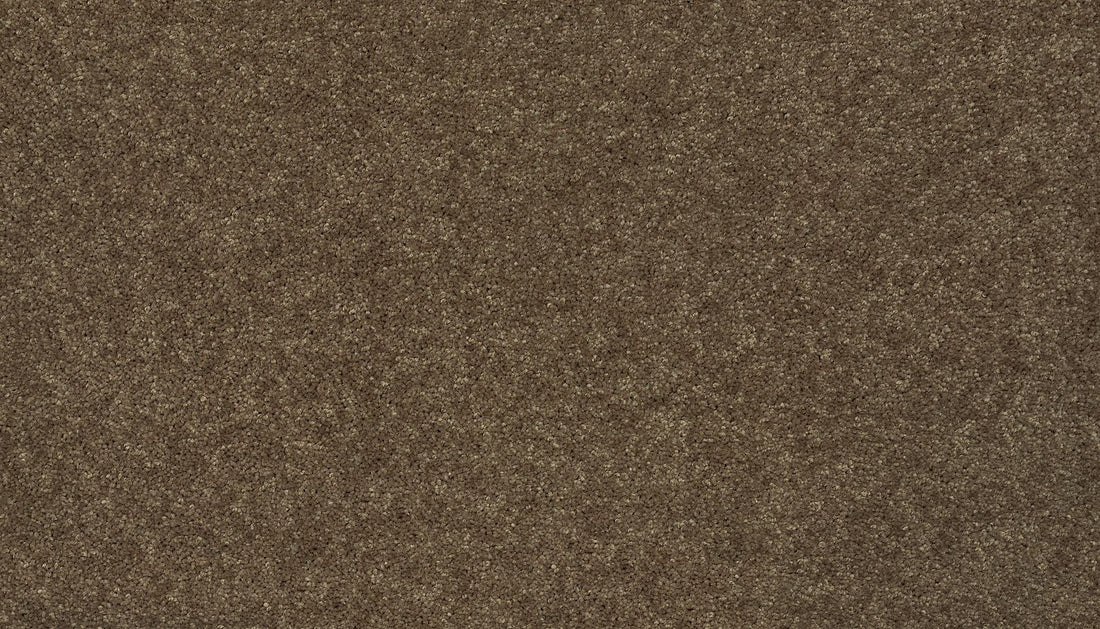 3f79-887-variant-room-scene