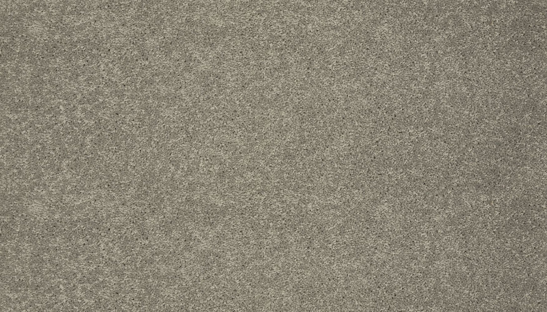 3f79-917-variant-room-scene